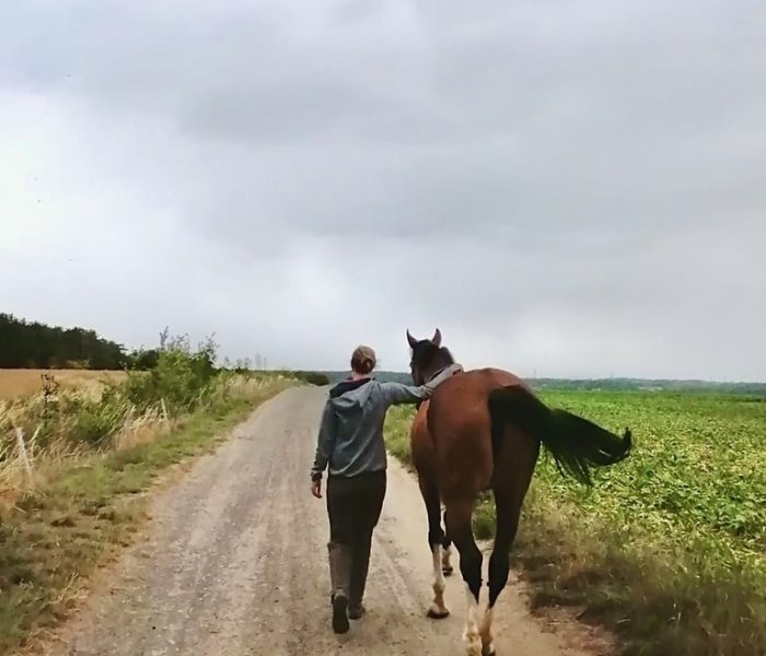 avec sauternes